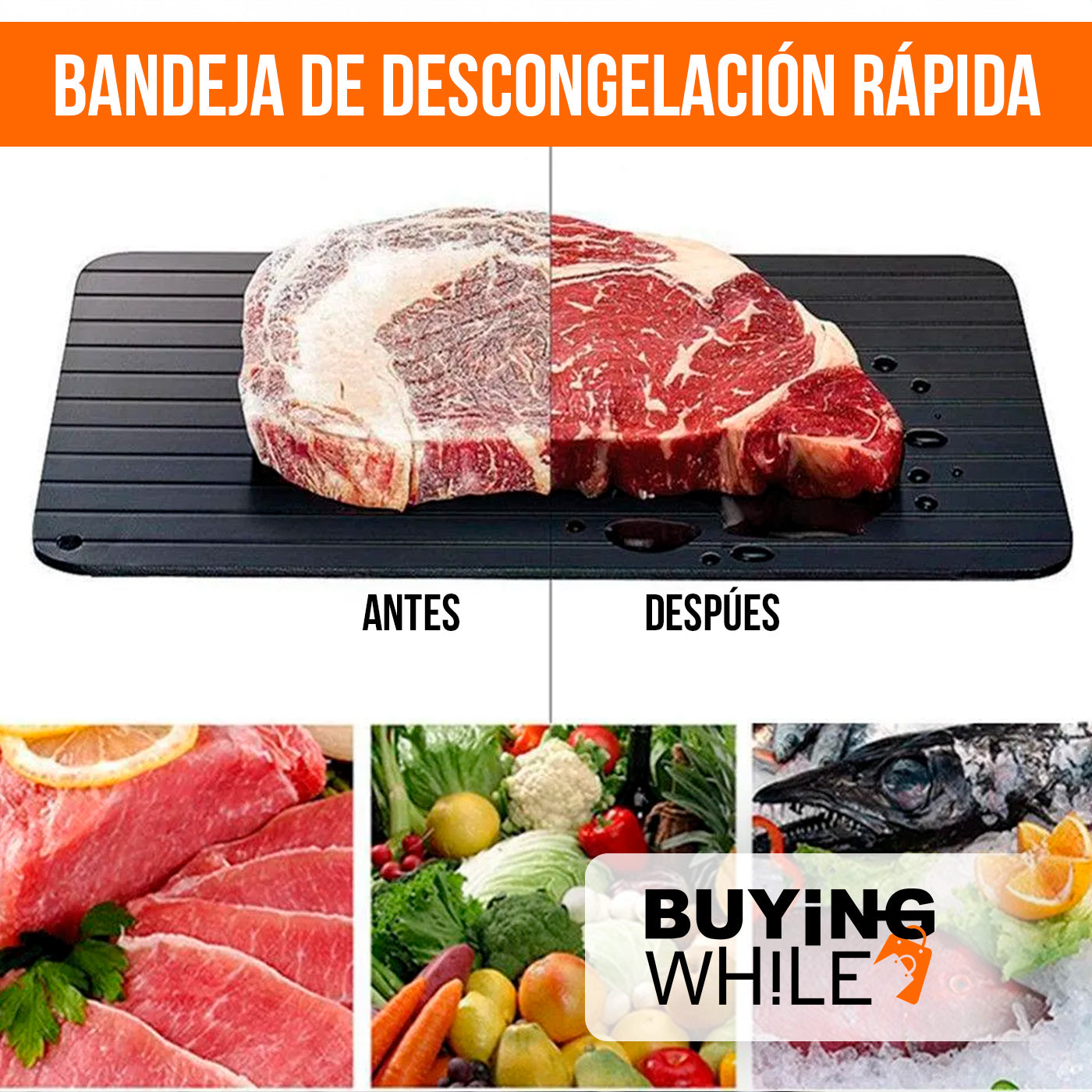 BANDEJA DE DESCONGELACION RÁPIDA / DEFROST EXPRESS®